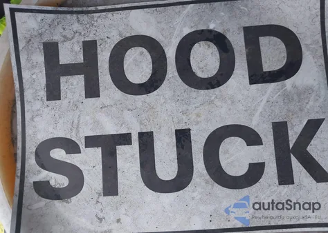 2019 Ram 1500 Limited 4X4 5'7 Box from USA, damaged, VIN 1C6SRFHT0KN862051